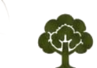 Tree Work icon
